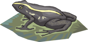 Black And Yellow Frog On A Lily Pad Clip Art